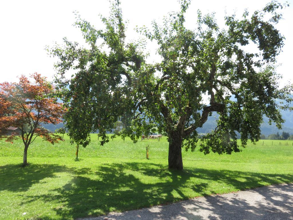 Ferienwohnungen Mooshaeusl Reit im Winkl Exterior foto